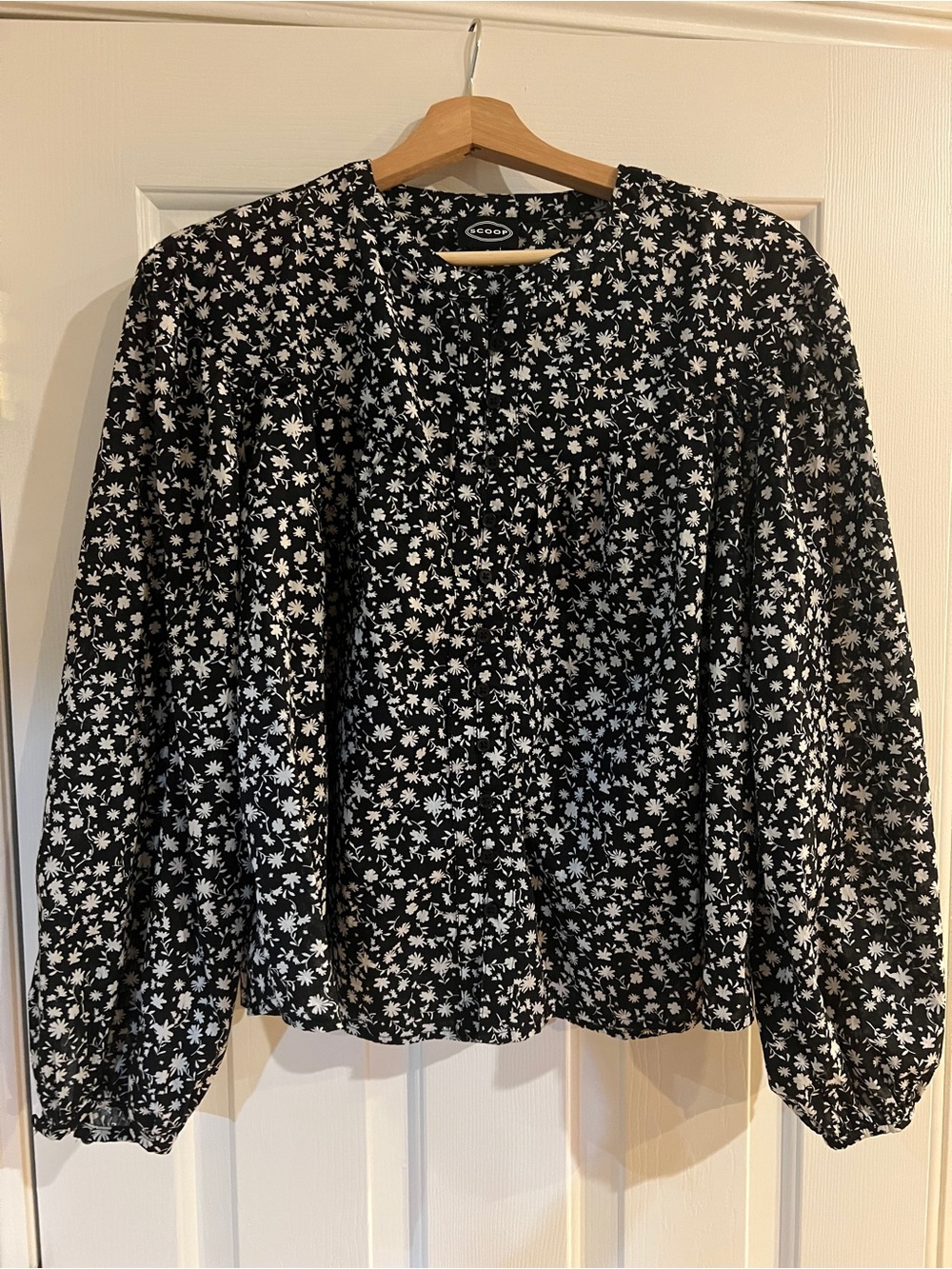 Whimsigoth cottage-core Y2K  Black Floral pleated, Puff-Sleeve Blouse